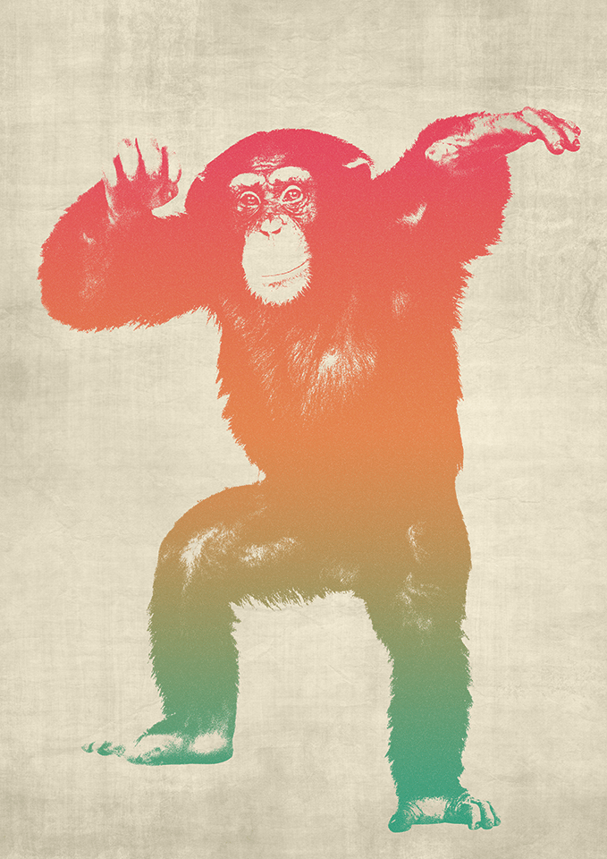 Funky Monkey - image 3 - student project