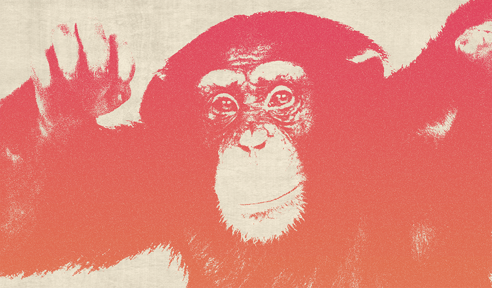 Funky Monkey - image 4 - student project