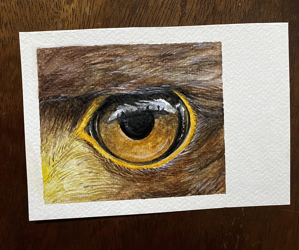 Protector Animals - image 1 - student project