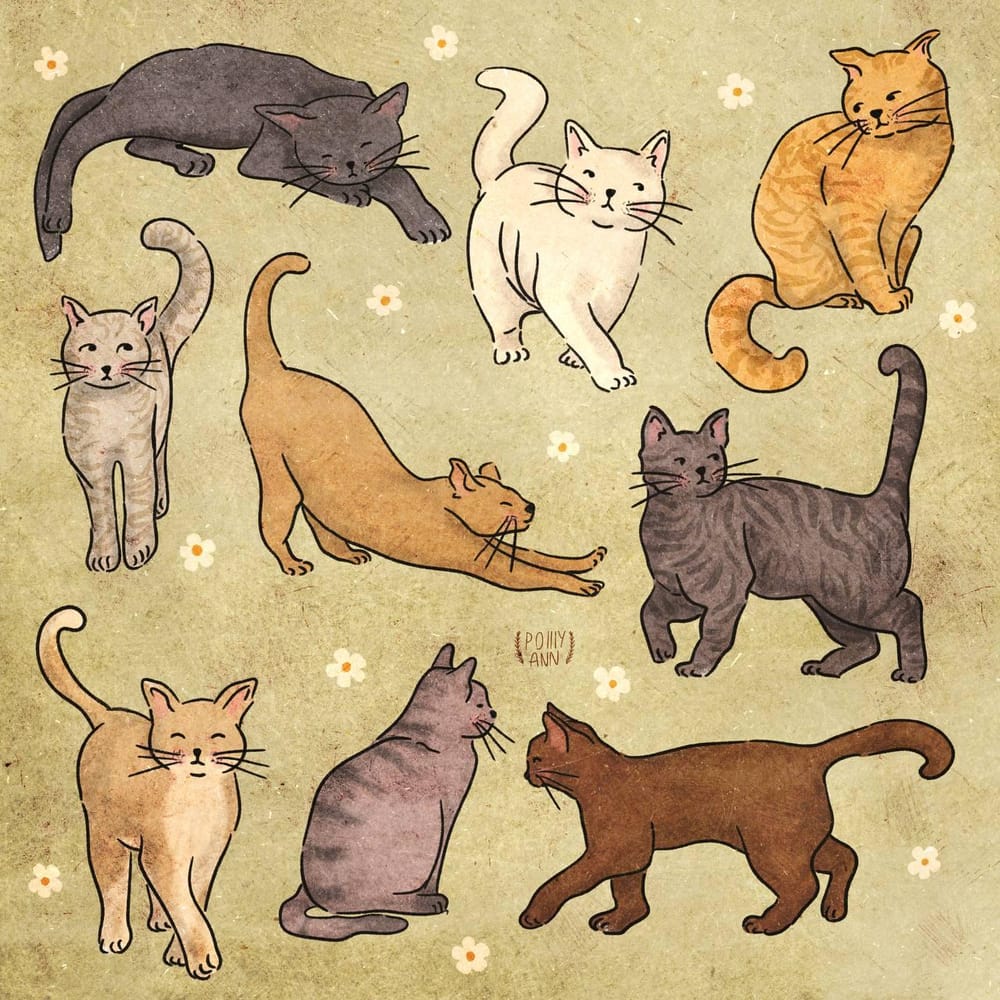 Cats - image 1 - student project