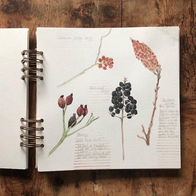 winter nature sketchbook journal - image 2 - student project