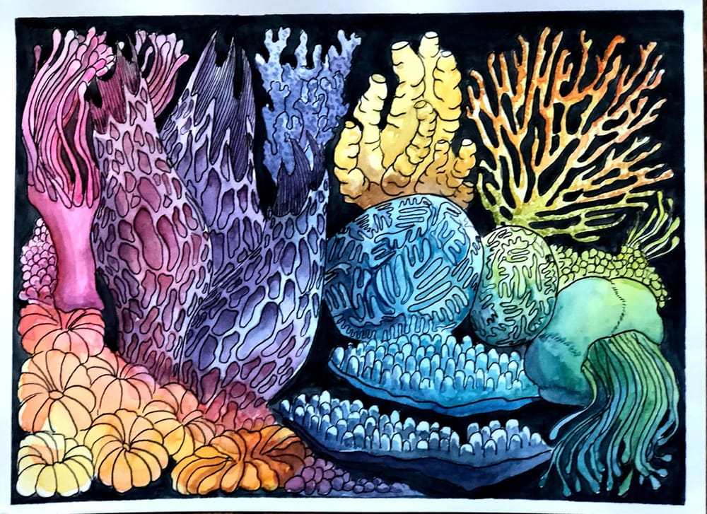 Undersea Rainbow - image 3 - student project
