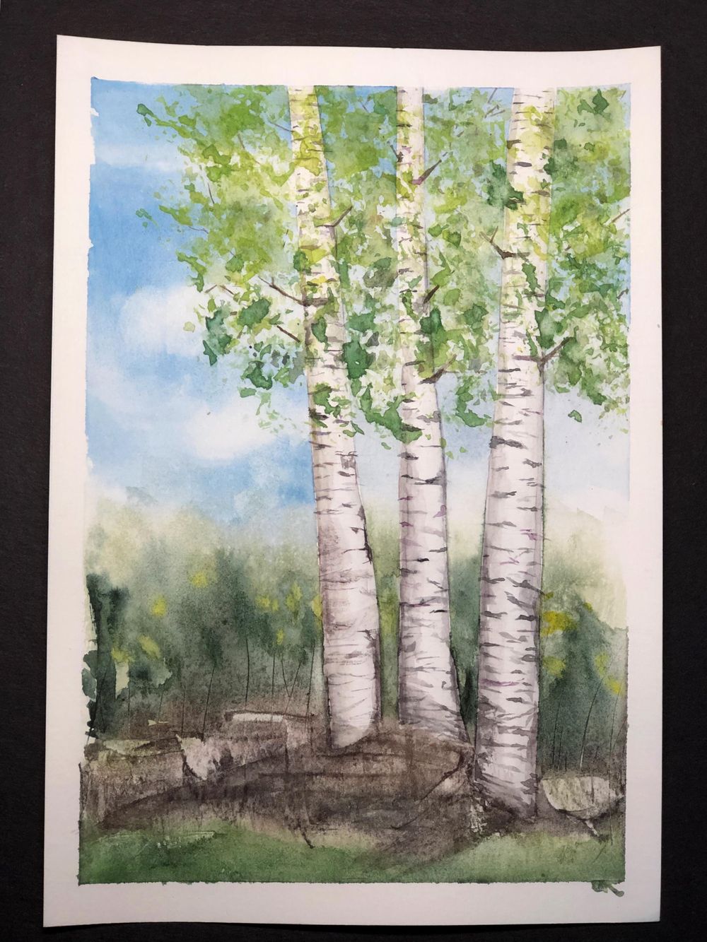 Deciduous Trees - image 3 - student project