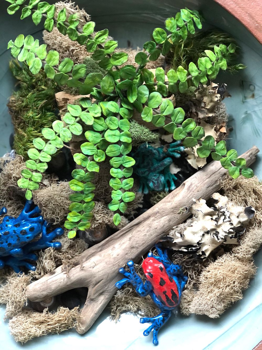 Air Dry Clay Fern - image 1 - student project