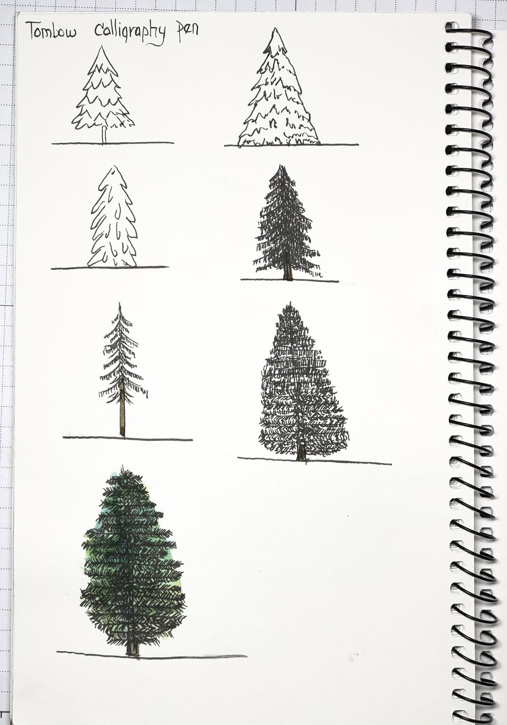 Drawing Basic Evergreens - image 1 - student project