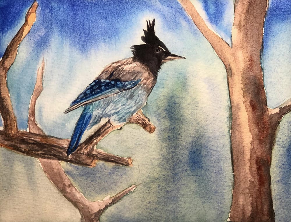 Watercolor Mountain Chickadee - image 2 - student project