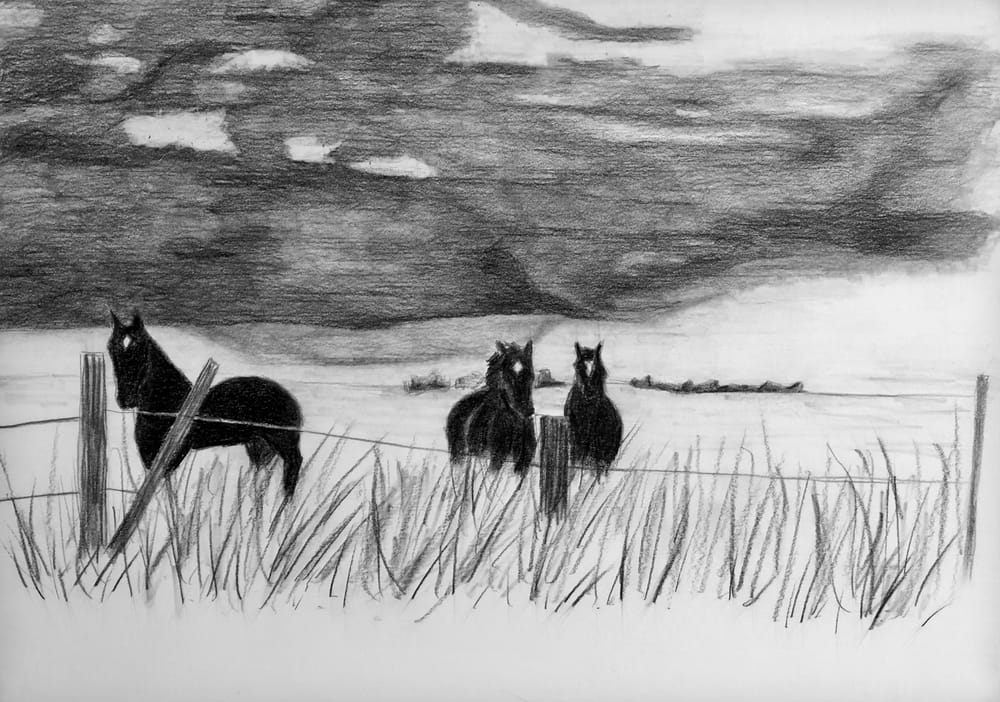 Exploring Carbon Pencils - image 3 - student project