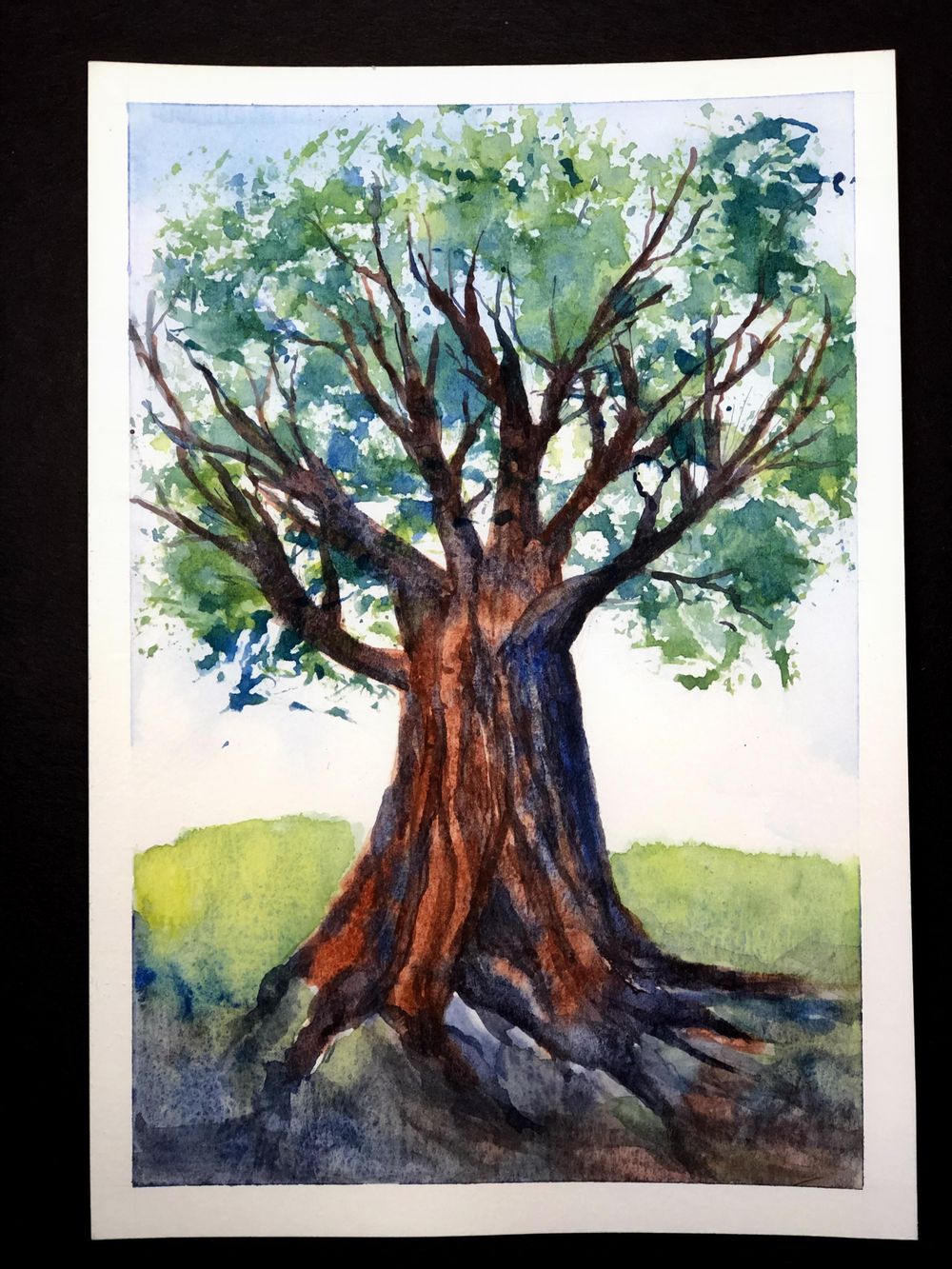 Deciduous Trees - image 1 - student project