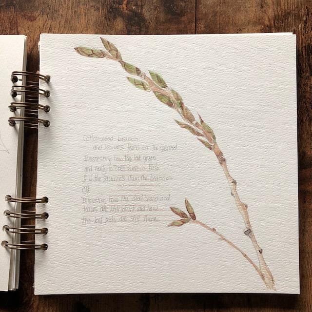 winter nature sketchbook journal - image 3 - student project