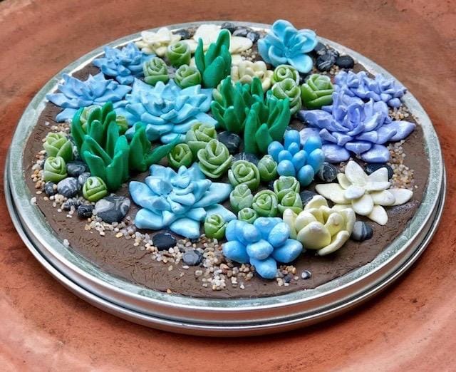 Succulent Garden in Clay - image 1 - student project