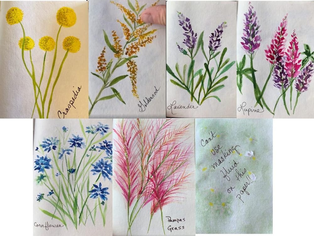 Painting Flowers with Marks: Painting Challenge - image 1 - student project
