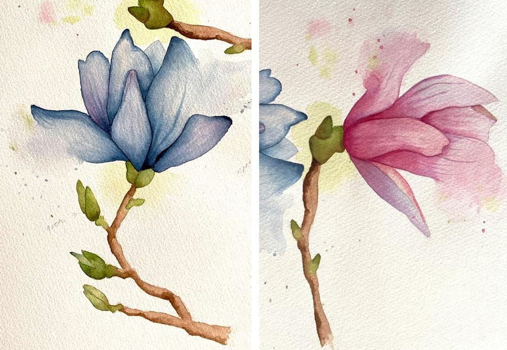 Botanical Watercolor - Magnolia - image 2 - student project