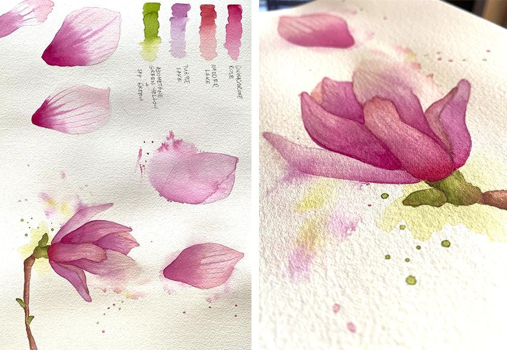 Botanical Watercolor - Magnolia - image 1 - student project