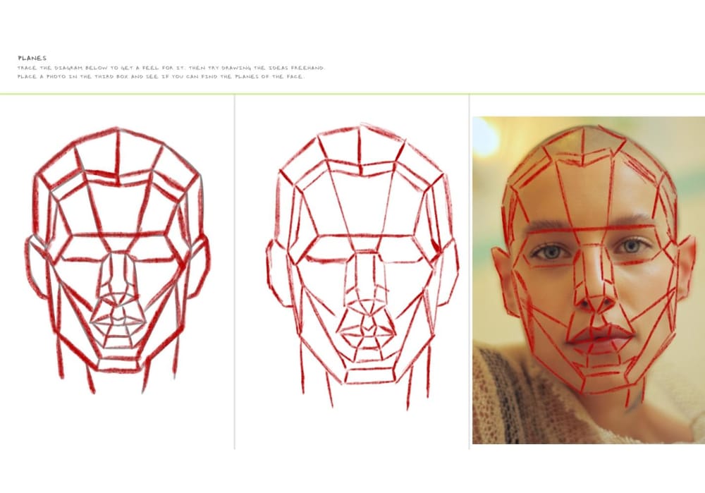 Drawing and Painting Portraits - image 12 - student project