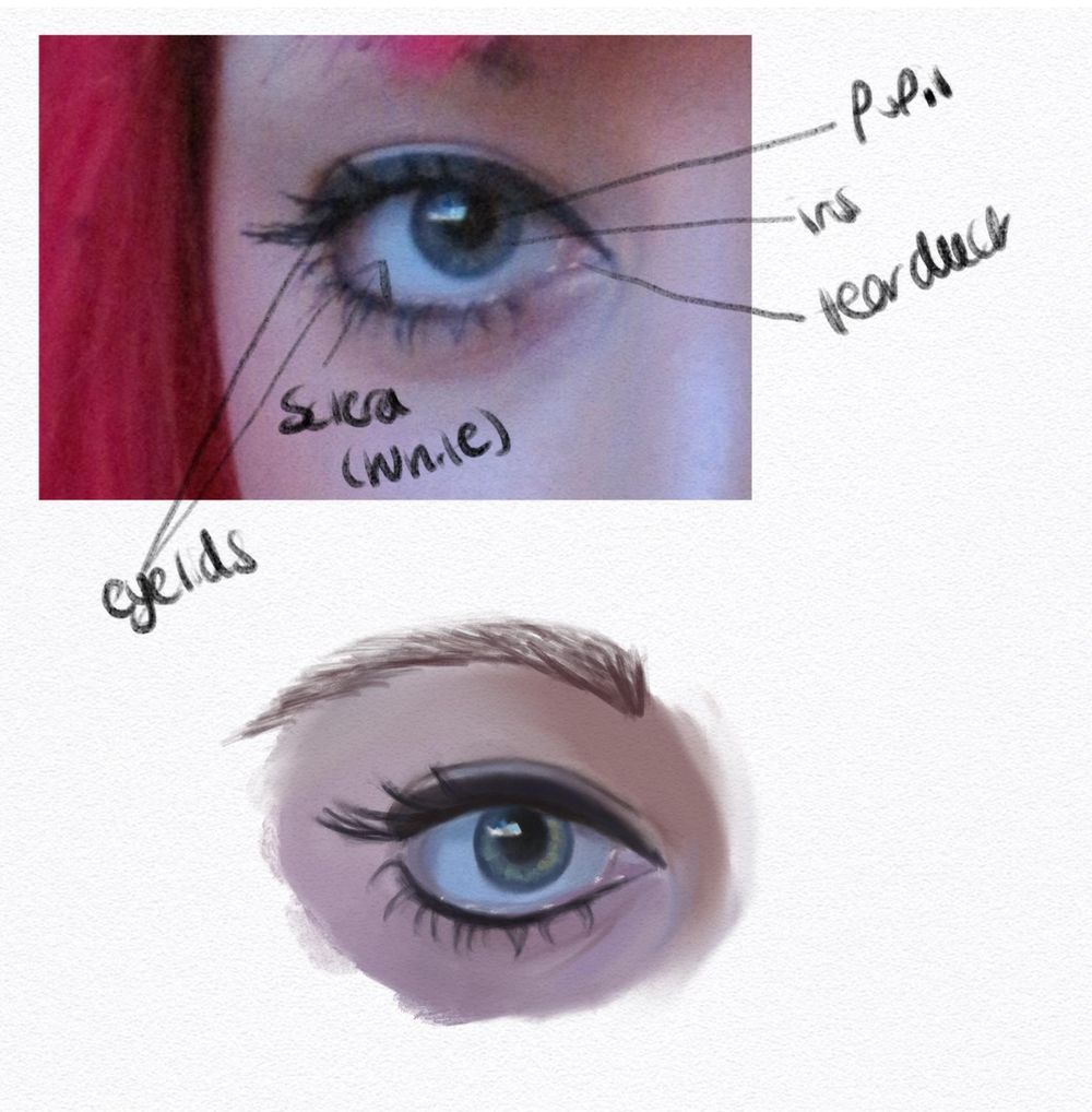 Drawing a Realistic Eye Class - image 1 - student project