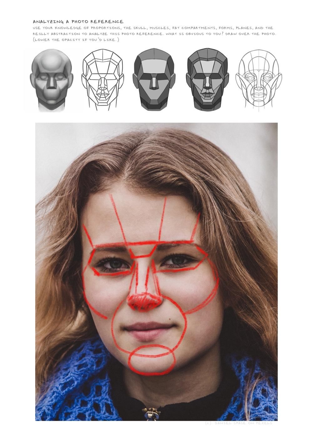 Drawing and Painting Portraits - image 14 - student project
