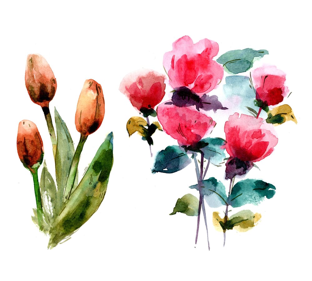 Watercolor florals - image 2 - student project