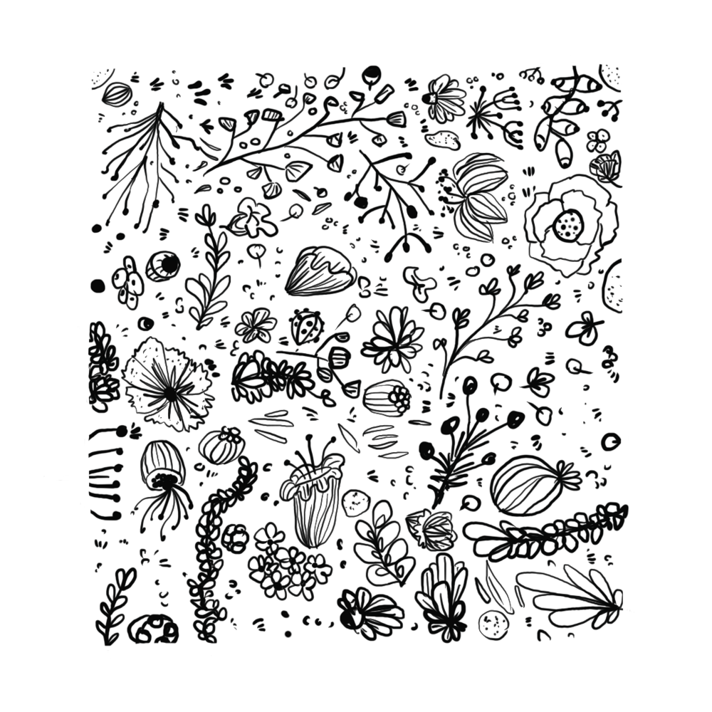 Some botanical doodles - image 3 - student project