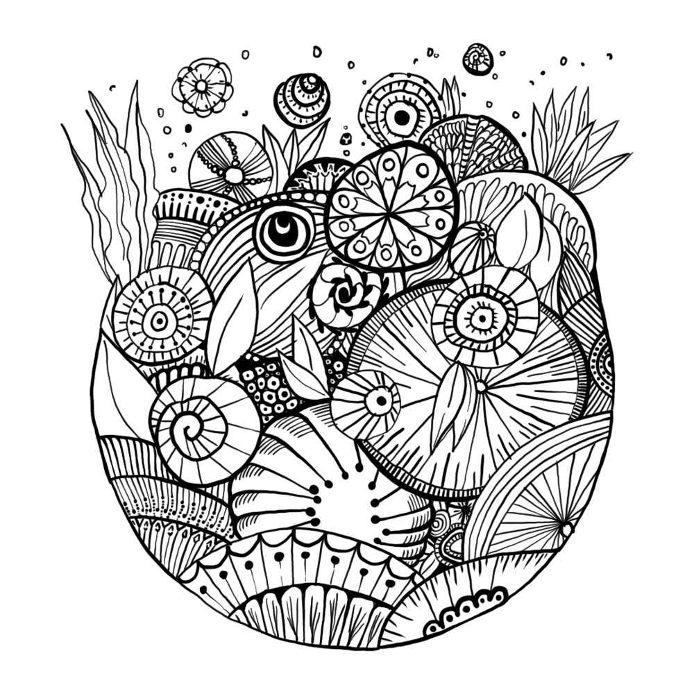 Some botanical doodles - image 1 - student project