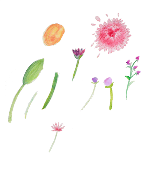 Florals and Florets - image 3 - student project