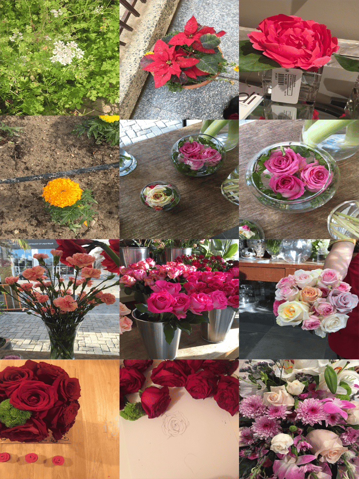 Florals and Florets - image 9 - student project