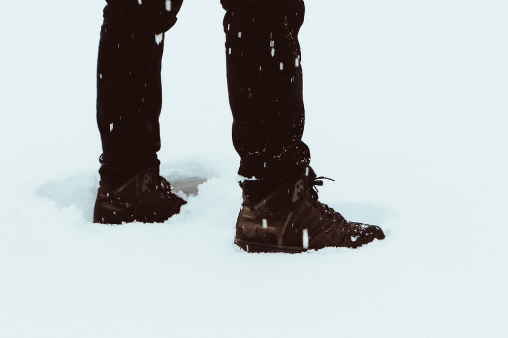 Winter Solitude - image 5 - student project