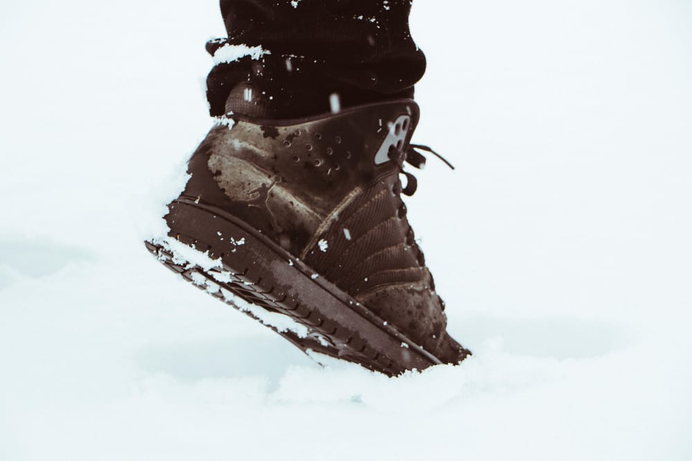 Winter Solitude - image 4 - student project