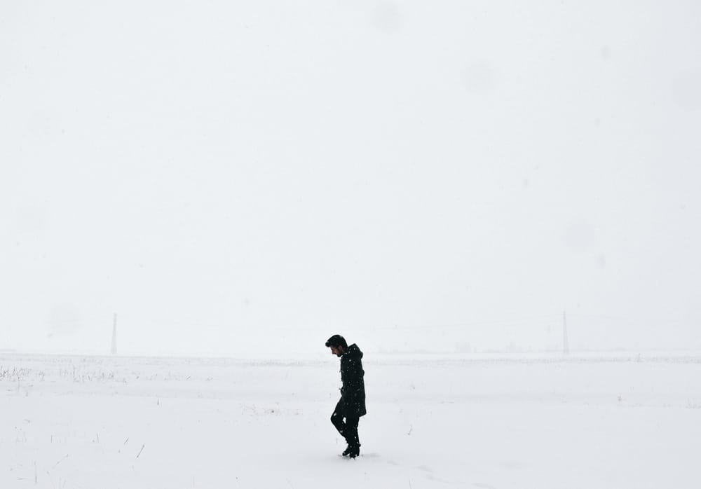 Winter Solitude - image 1 - student project