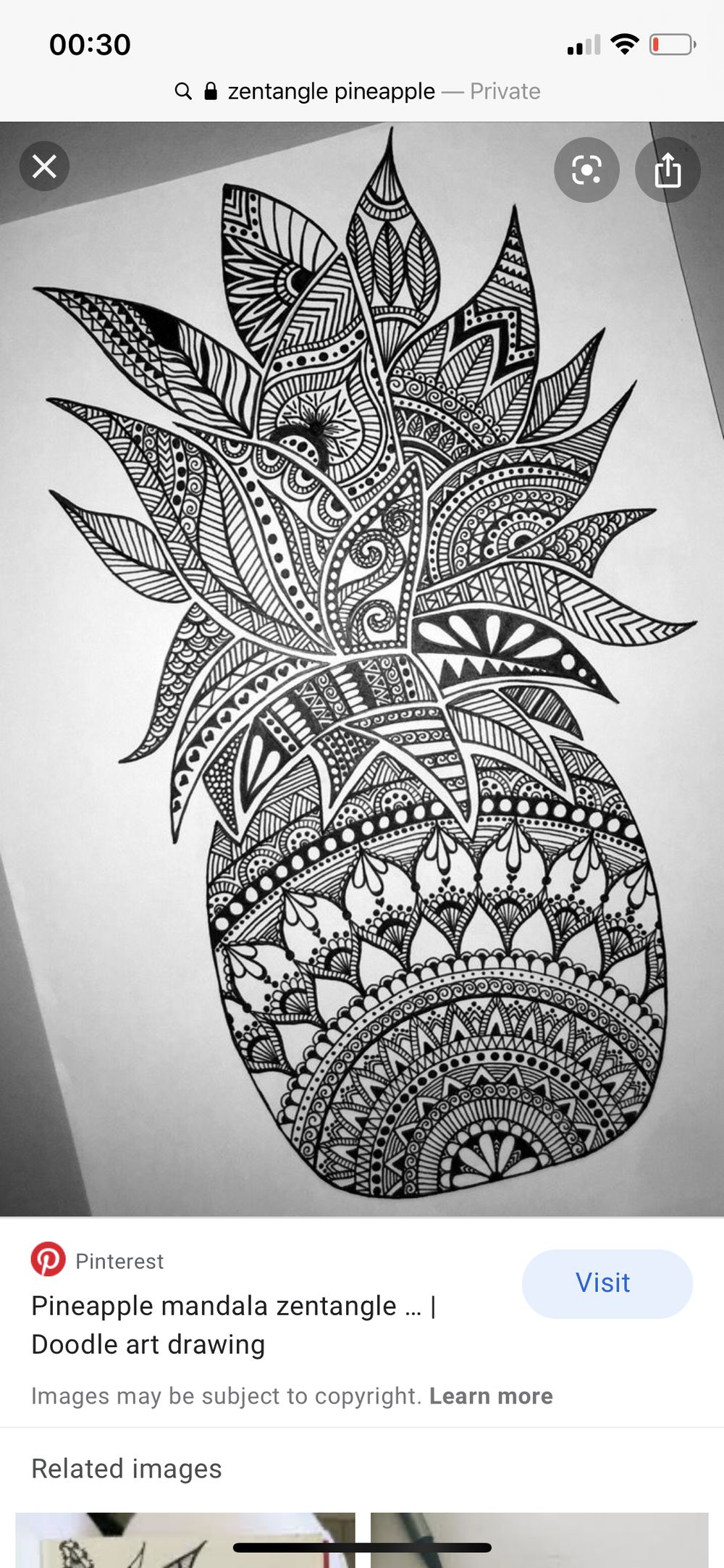 Zentangle Pinapple - image 2 - student project