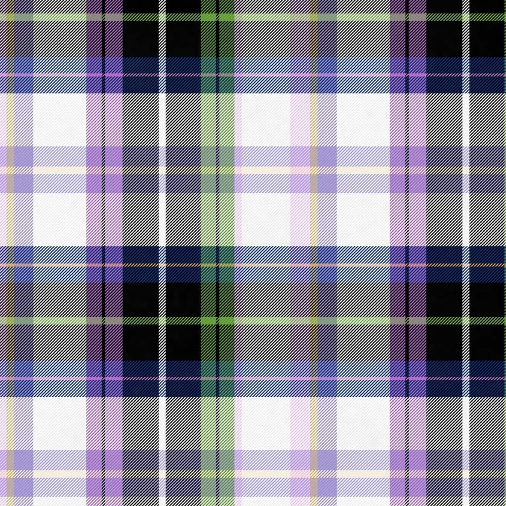 Pretty in Plaid - image 4 - student project