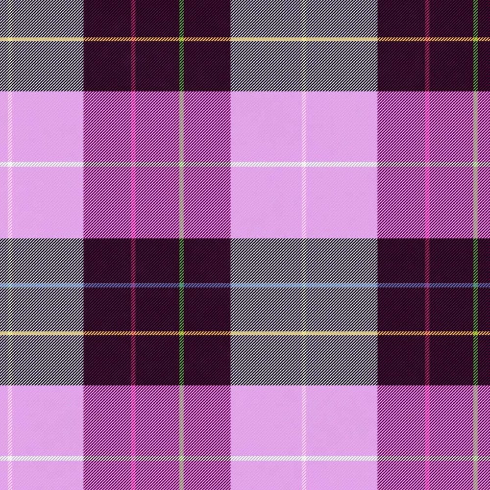 Pretty in Plaid - image 5 - student project