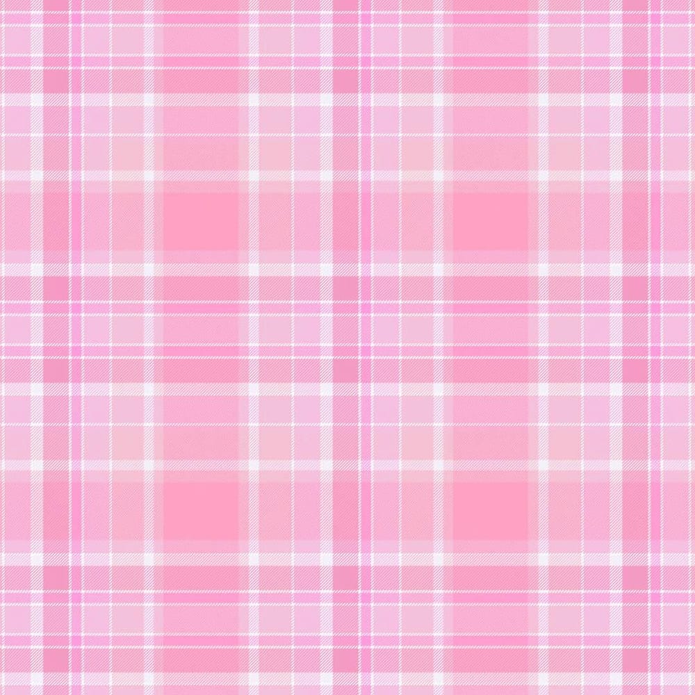 Pretty in Plaid - image 3 - student project