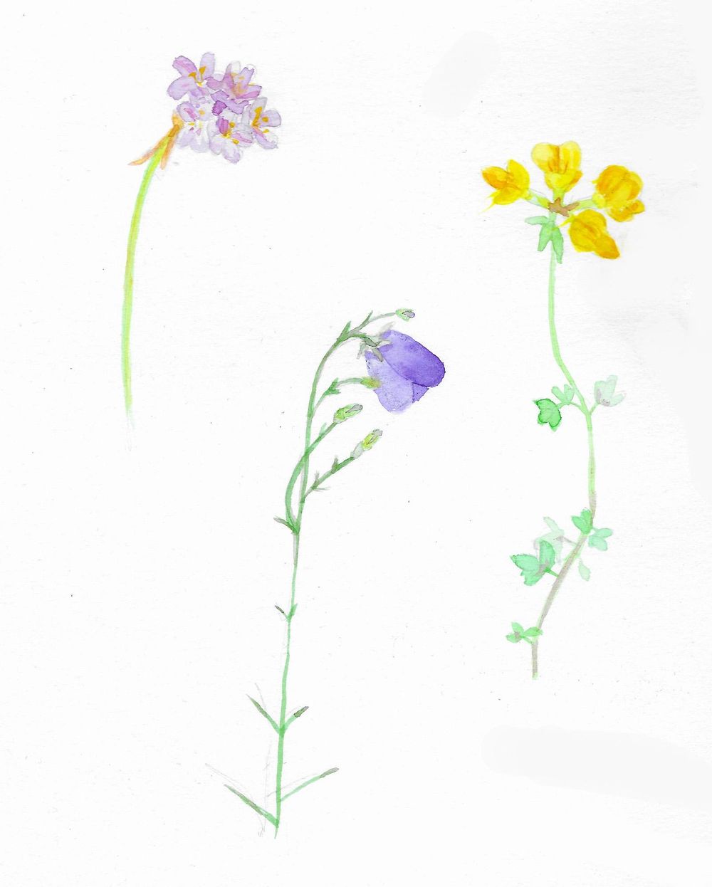 My projects - image 4 - student project