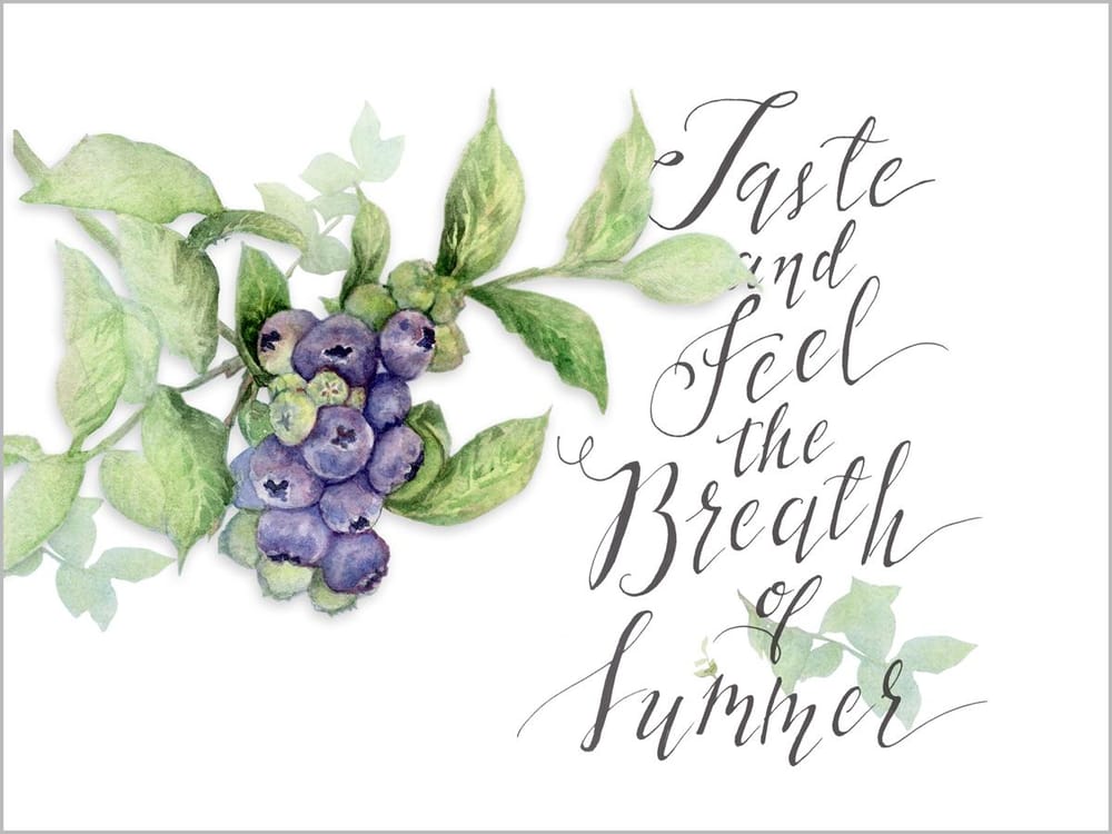 Blueberries in the Summer - image 3 - student project