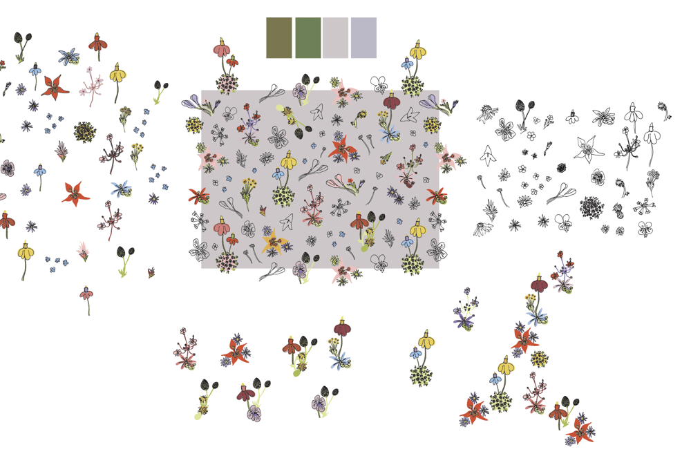 Elizabeth Roth - image 2 - student project
