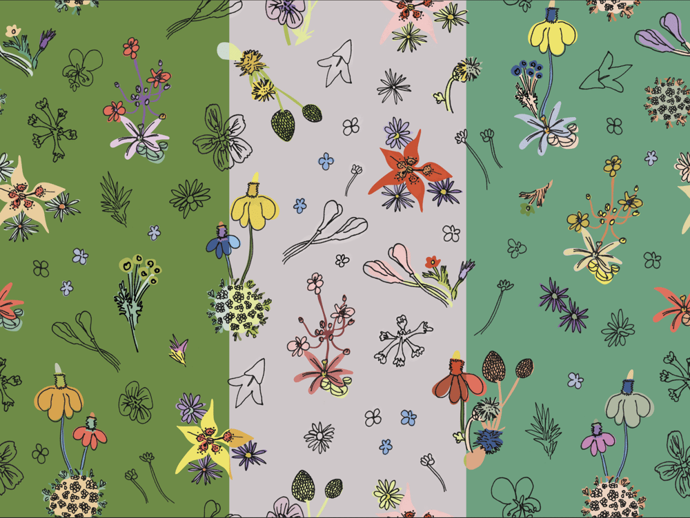 Elizabeth Roth - image 4 - student project