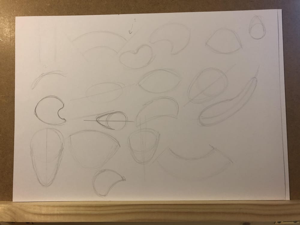 Curves and shapes - image 3 - student project