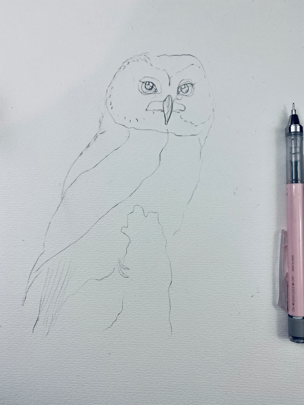 My OwlPainting in INK - image 2 - student project