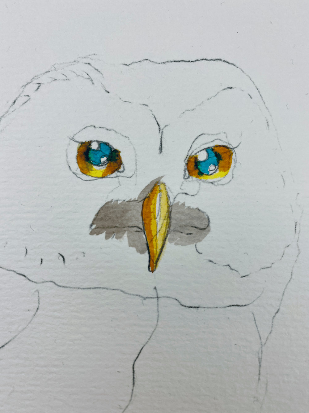 My OwlPainting in INK - image 6 - student project