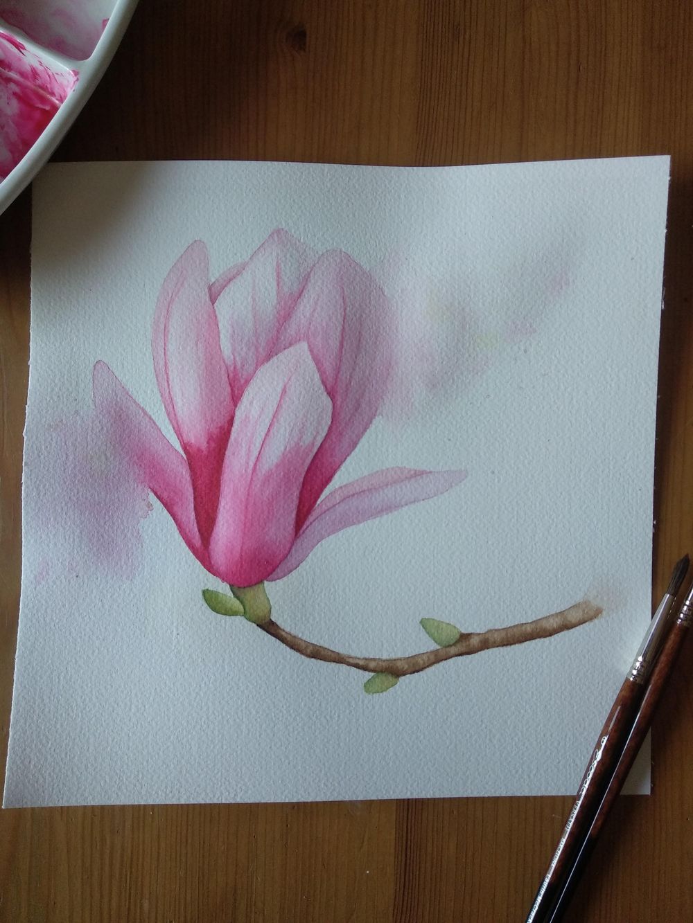 Magnolia - image 1 - student project