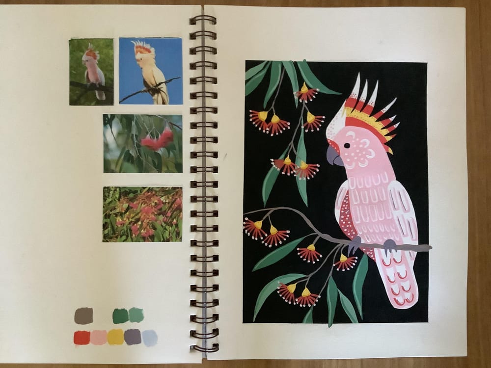 Wattle bird and bogong moth, Major Mitchell cockatoo and gum blossoms - image 1 - student project