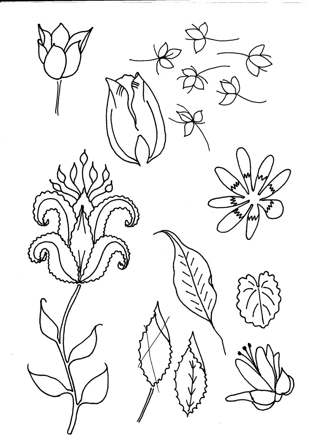 Indian Florals Mustard - image 1 - student project