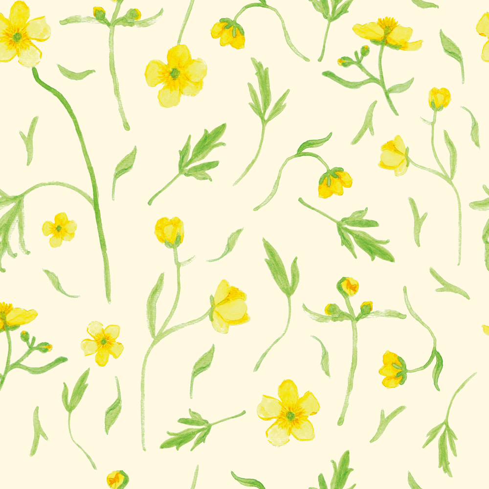 Buttercups - image 2 - student project