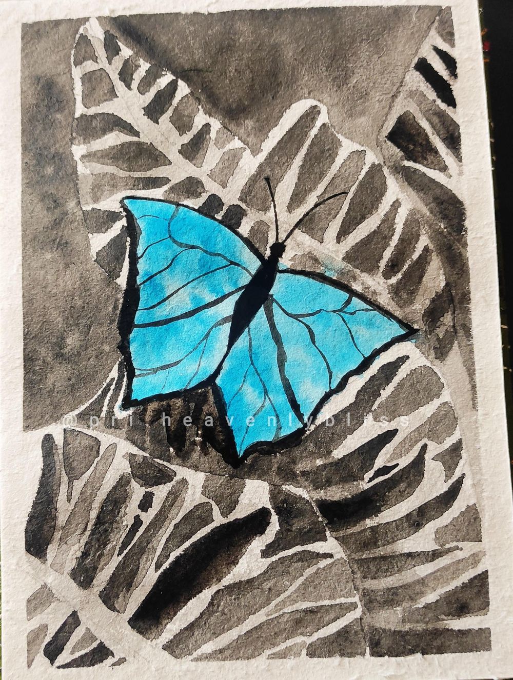 Week 4 - Color splash #BLUE - image 24 - student project