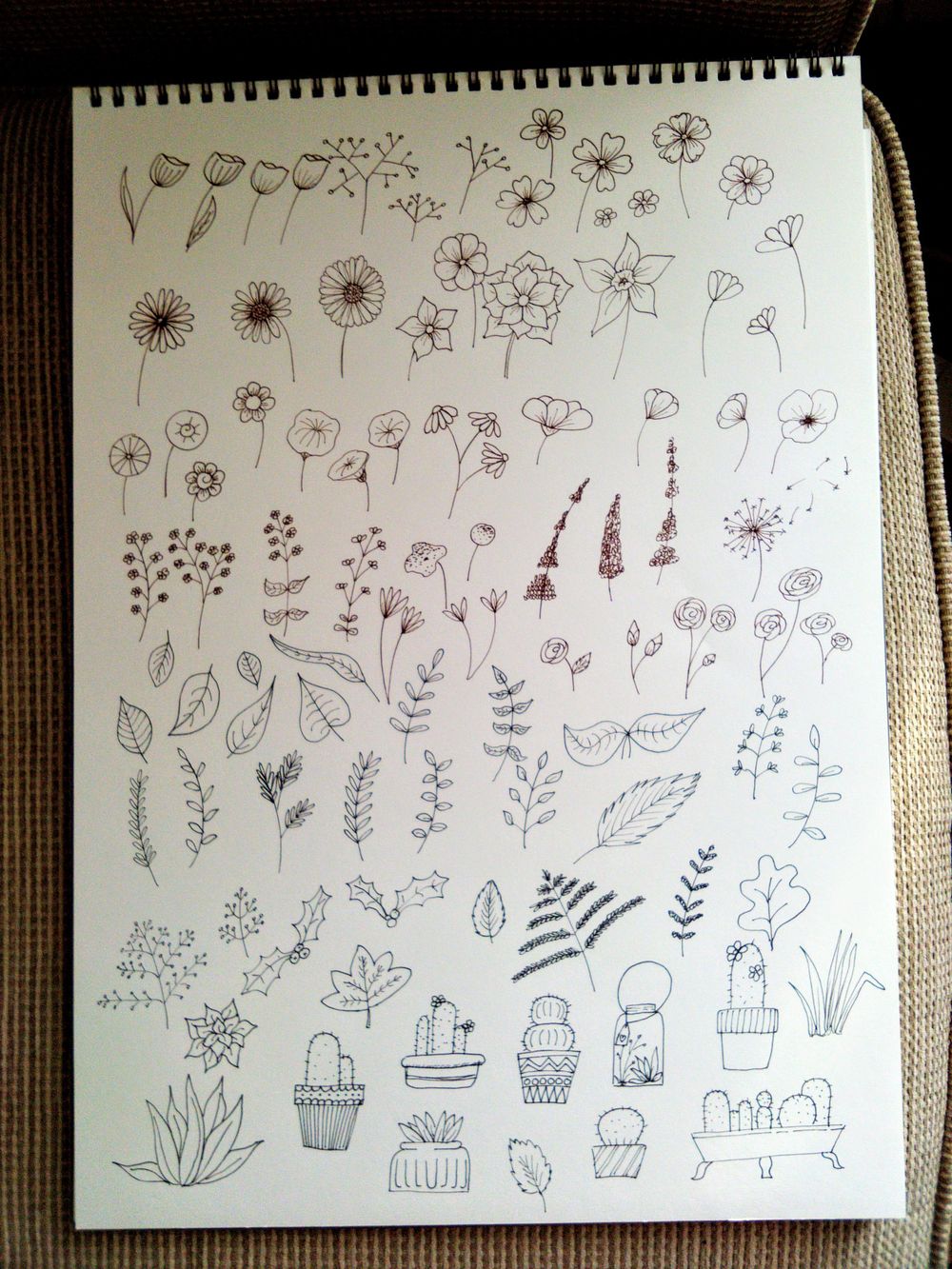 Practice Botanicals - image 2 - student project