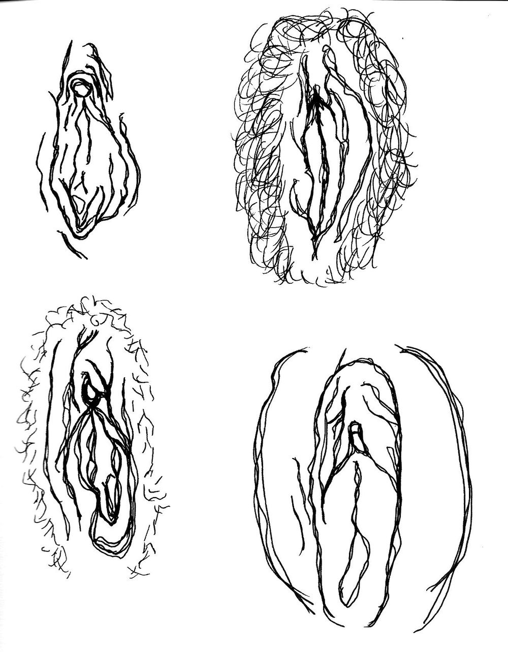 TEETH - image 1 - student project