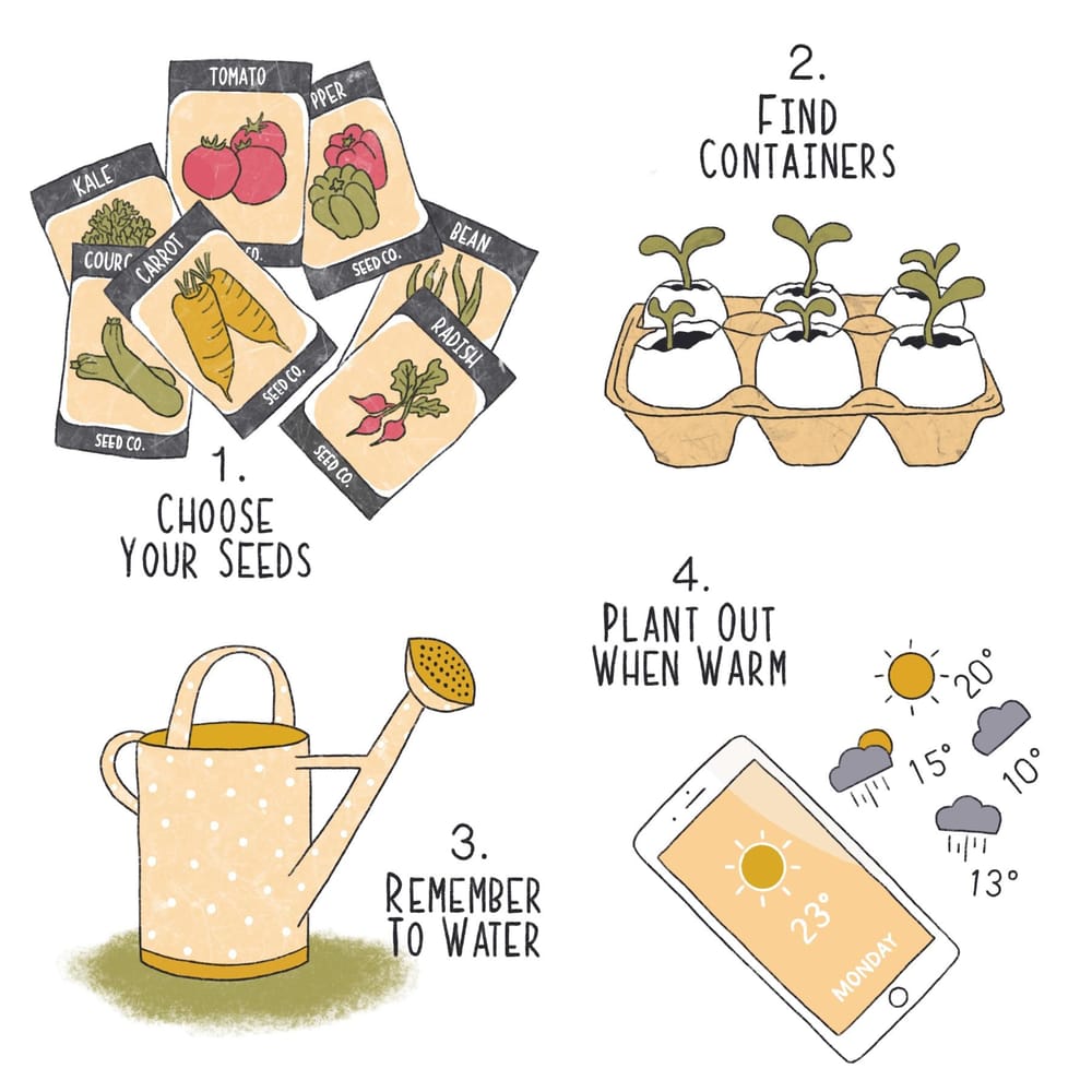 Tips for veg growing - image 5 - student project