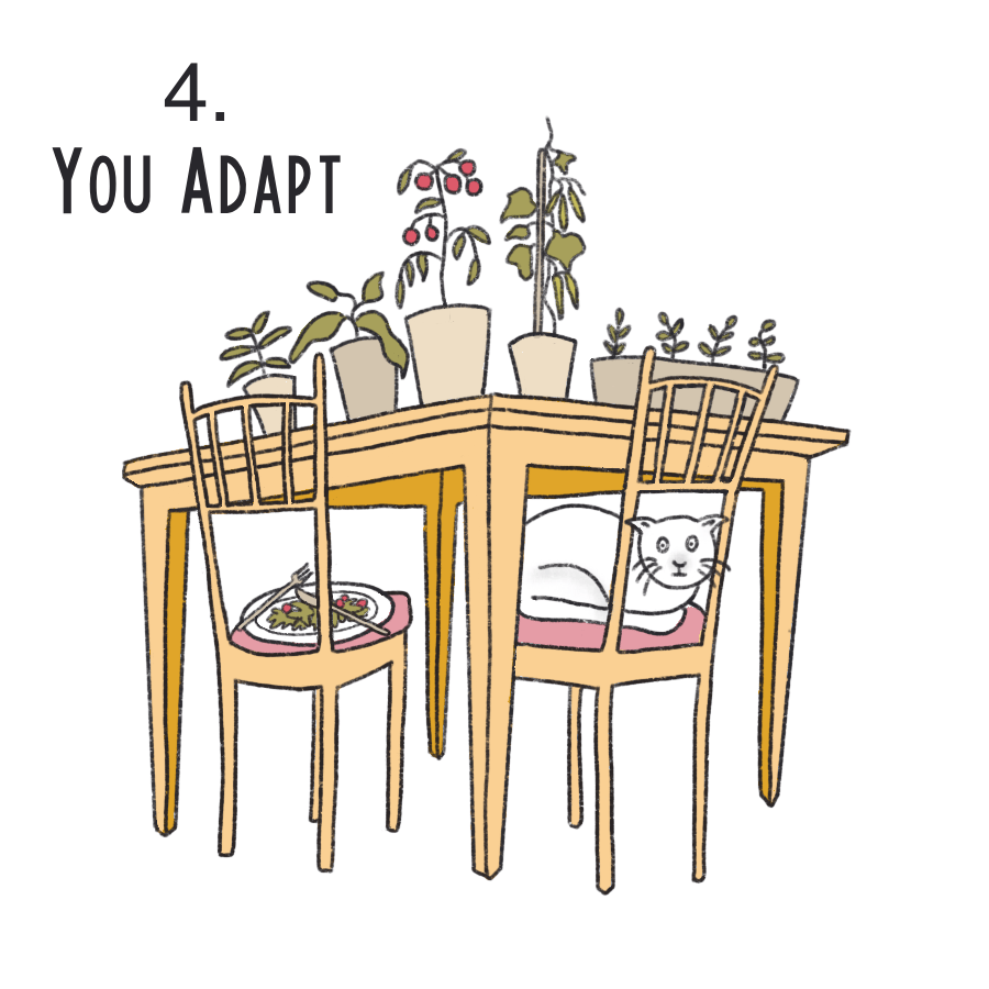 Tips for veg growing - image 4 - student project