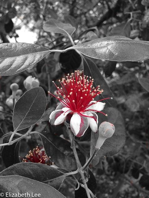 a splash of colour - image 2 - student project