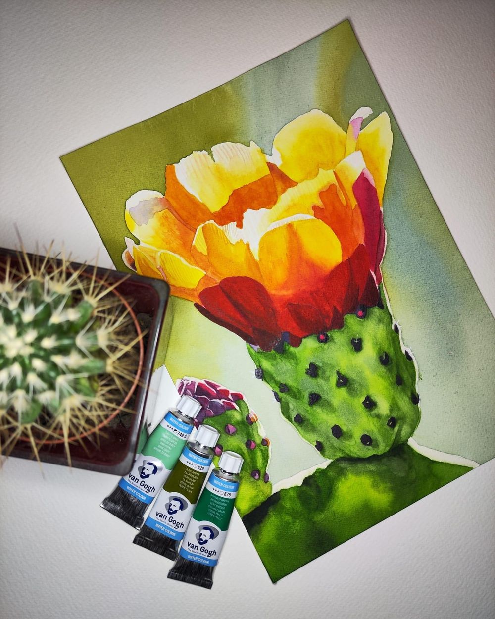 Opuntia Flower - image 1 - student project